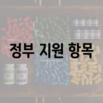 정부 지원 항목