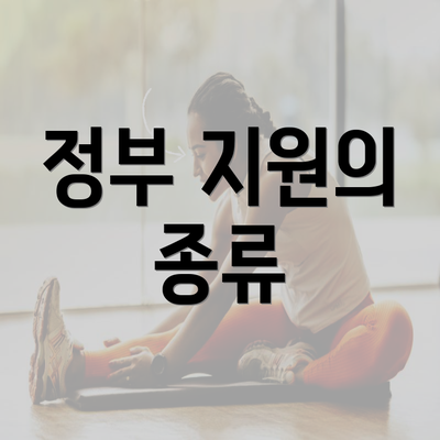 정부 지원의 종류