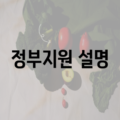 정부지원 설명