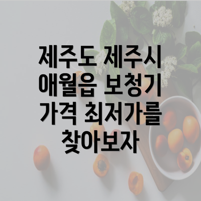 제주도 제주시 애월읍 보청기 가격 최저가를 찾아보자