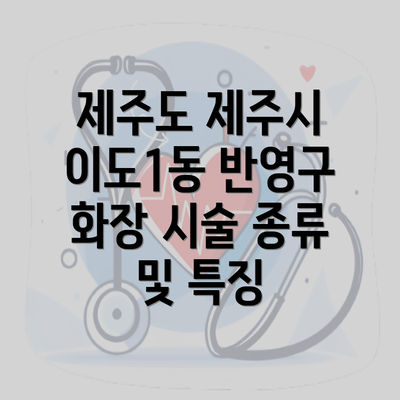 제주도 제주시 이도1동 반영구 화장 시술 종류 및 특징