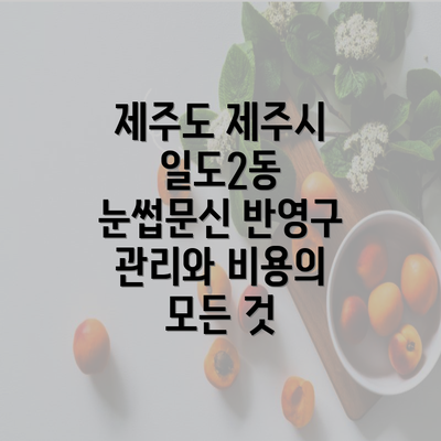 제주도 제주시 일도2동 눈썹문신 반영구 관리와 비용의 모든 것