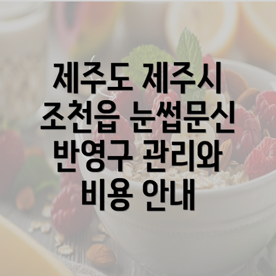 제주도 제주시 조천읍 눈썹문신 반영구 관리와 비용 안내