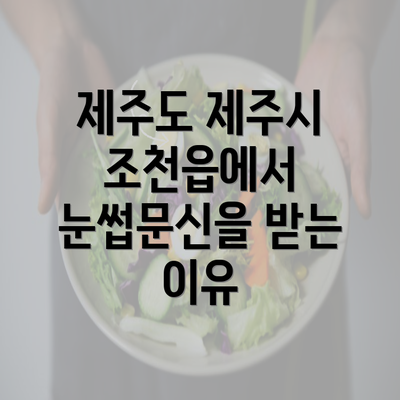 제주도 제주시 조천읍에서 눈썹문신을 받는 이유