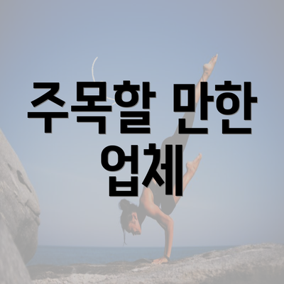 주목할 만한 업체