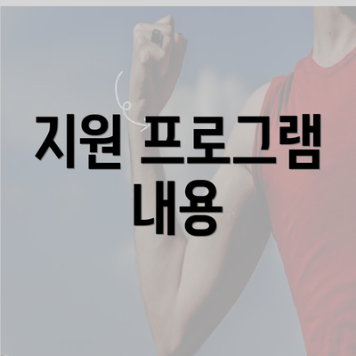 지원 프로그램 내용