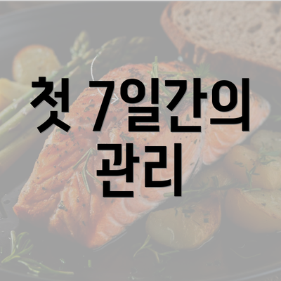 첫 7일간의 관리