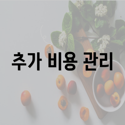 추가 비용 관리