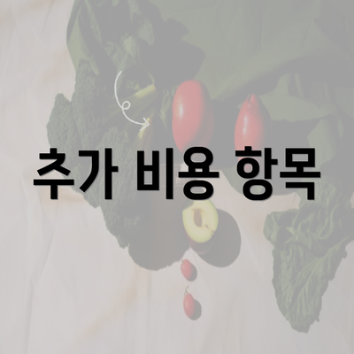 추가 비용 항목