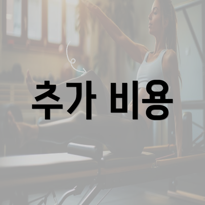 추가 비용