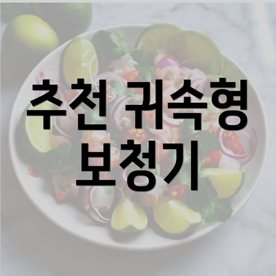 추천 귀속형 보청기