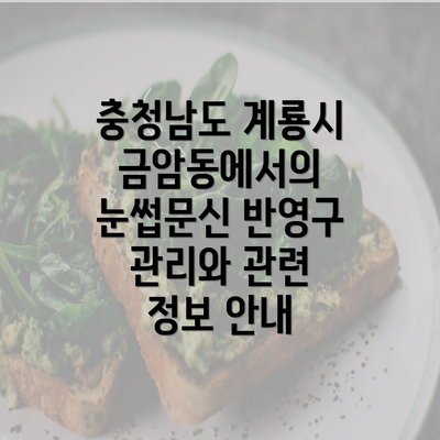 충청남도 계룡시 금암동에서의 눈썹문신 반영구 관리와 관련 정보 안내