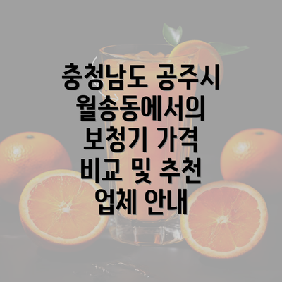 충청남도 공주시 월송동에서의 보청기 가격 비교 및 추천 업체 안내