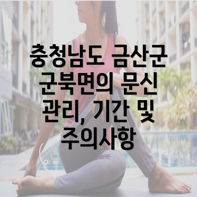 충청남도 금산군 군북면의 문신 관리, 기간 및 주의사항