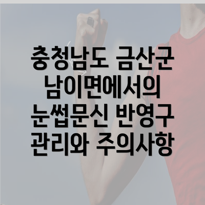 충청남도 금산군 남이면에서의 눈썹문신 반영구 관리와 주의사항