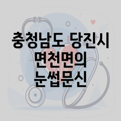 충청남도 당진시 면천면의 눈썹문신