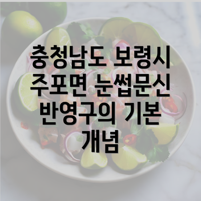 충청남도 보령시 주포면 눈썹문신 반영구의 기본 개념