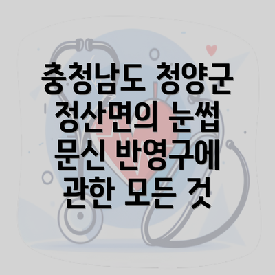 충청남도 청양군 정산면의 눈썹 문신 반영구에 관한 모든 것