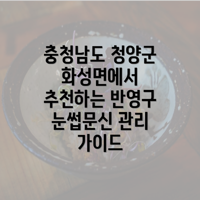 충청남도 청양군 화성면에서 추천하는 반영구 눈썹문신 관리 가이드