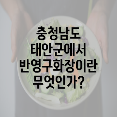 충청남도 태안군에서 반영구화장이란 무엇인가?