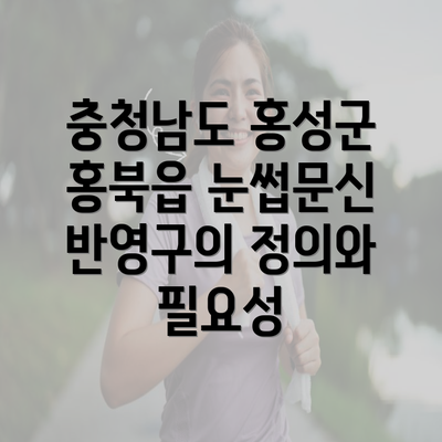 충청남도 홍성군 홍북읍 눈썹문신 반영구의 정의와 필요성