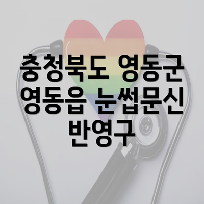 충청북도 영동군 영동읍 눈썹문신 반영구