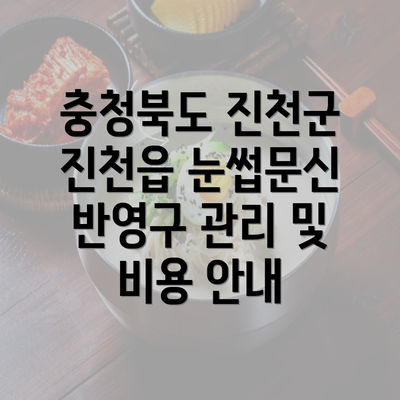 충청북도 진천군 진천읍 눈썹문신 반영구 관리 및 비용 안내