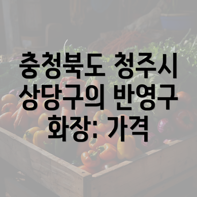 충청북도 청주시 상당구의 반영구 화장: 가격