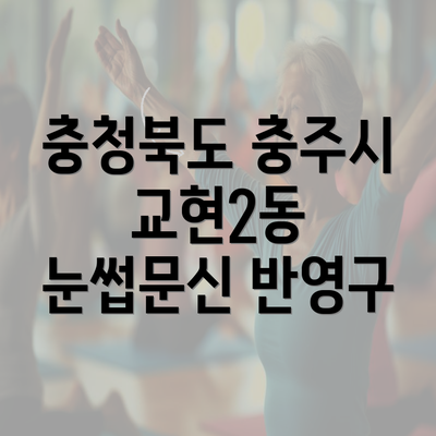 충청북도 충주시 교현2동 눈썹문신 반영구