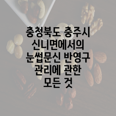 충청북도 충주시 신니면에서의 눈썹문신 반영구 관리에 관한 모든 것