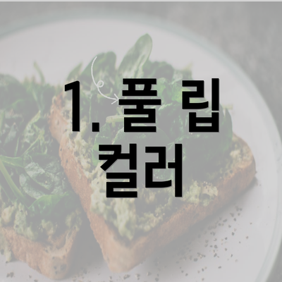 1. 풀 립 컬러