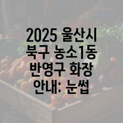 2025 울산시 북구 농소1동 반영구 화장 안내: 눈썹