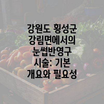 강원도 횡성군 강림면에서의 눈썹반영구 시술: 기본 개요와 필요성