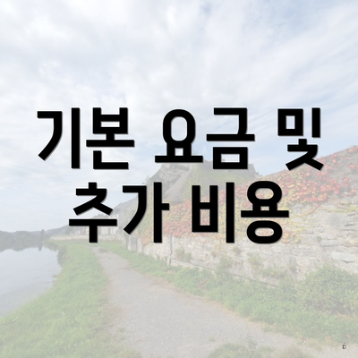 기본 요금 및 추가 비용