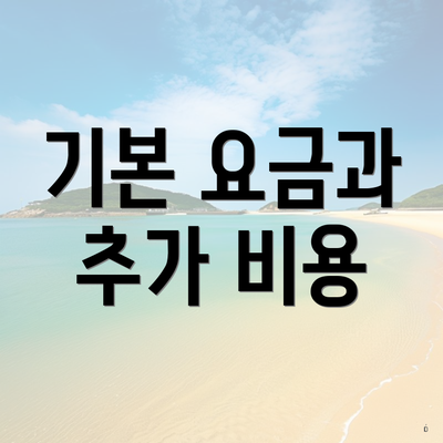 기본 요금과 추가 비용