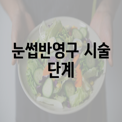 눈썹반영구 시술 단계