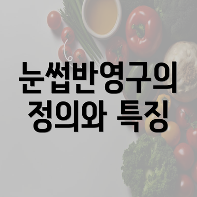 눈썹반영구의 정의와 특징