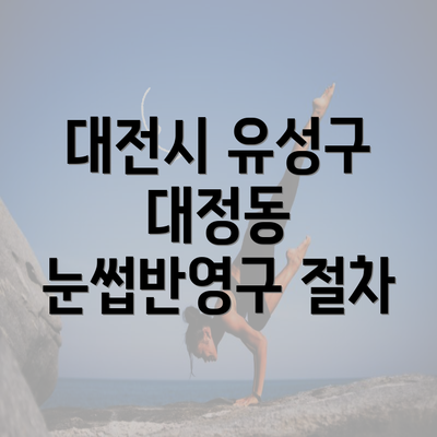 대전시 유성구 대정동 눈썹반영구 절차