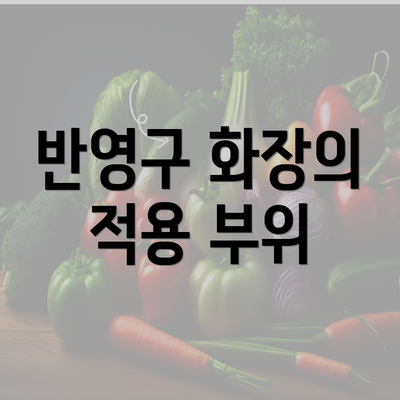 반영구 화장의 적용 부위