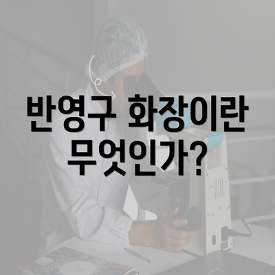 반영구 화장이란 무엇인가?