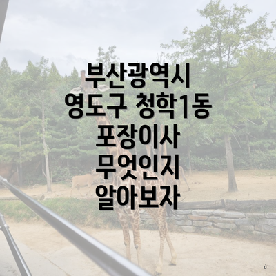 부산광역시 영도구 청학1동 포장이사 무엇인지 알아보자