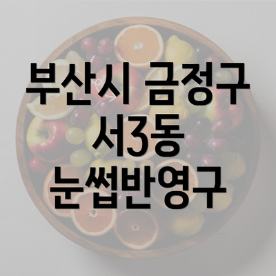 부산시 금정구 서3동 눈썹반영구