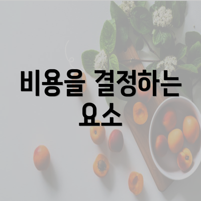 비용을 결정하는 요소