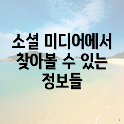 소셜 미디어에서 찾아볼 수 있는 정보들