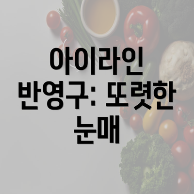 아이라인 반영구: 또렷한 눈매