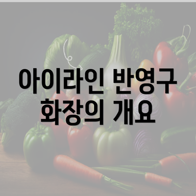 아이라인 반영구 화장의 개요