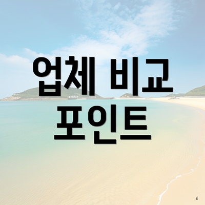 업체 비교 포인트