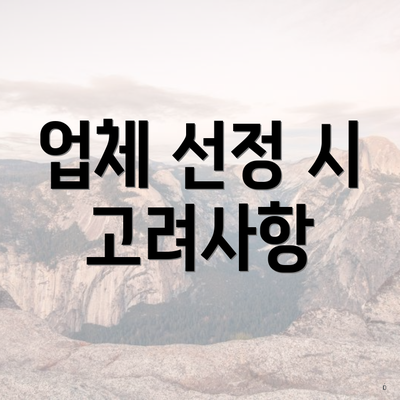 업체 선정 시 고려사항