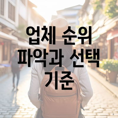 업체 순위 파악과 선택 기준