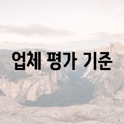 업체 평가 기준